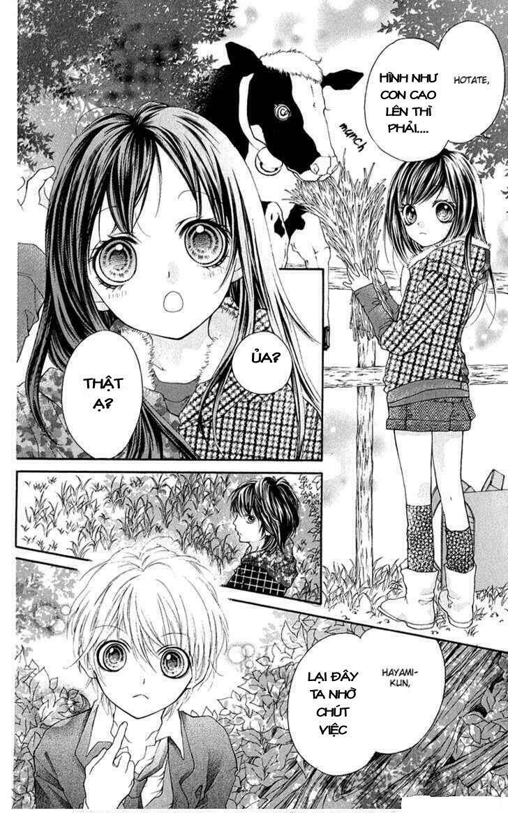 yamamoto zenjirou to moushimasu chapter 14 6