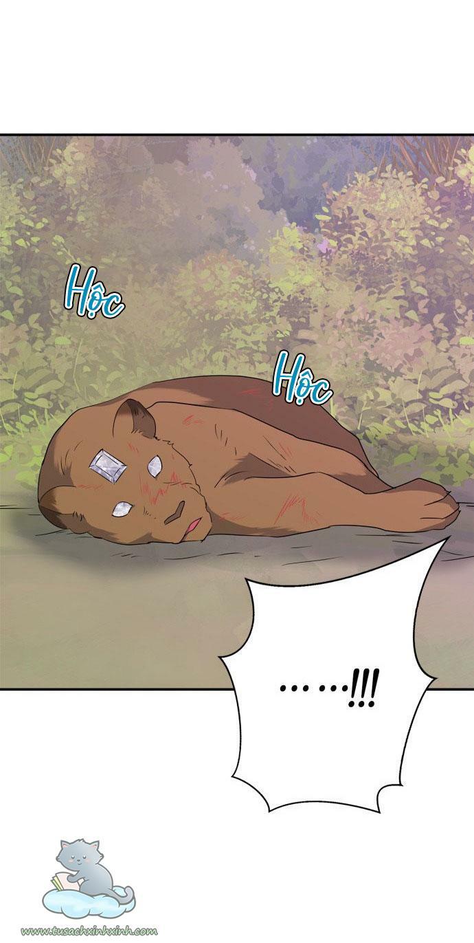 tôi đang nuôi dưỡng một con quái thú chapter 60 54