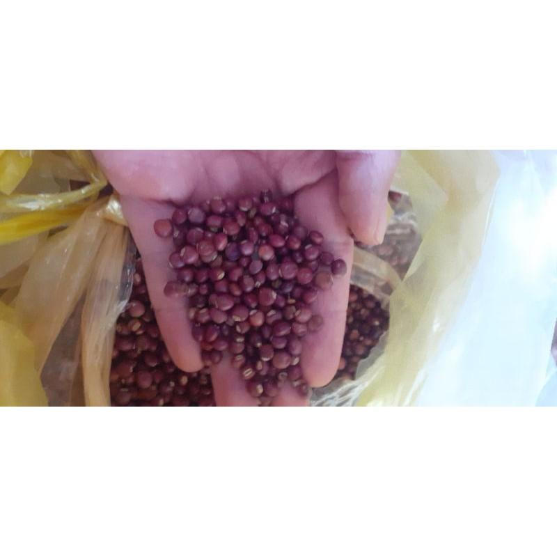 500 gram hạt đậu săng (đậu chiều)