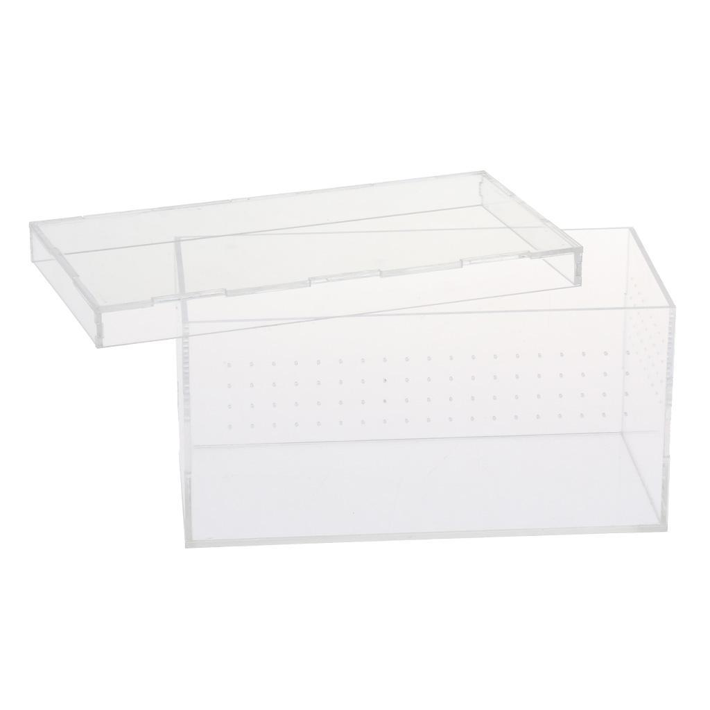 Transparent Acrylic Reptile Box Terrarium Pet Insect Breeding Box