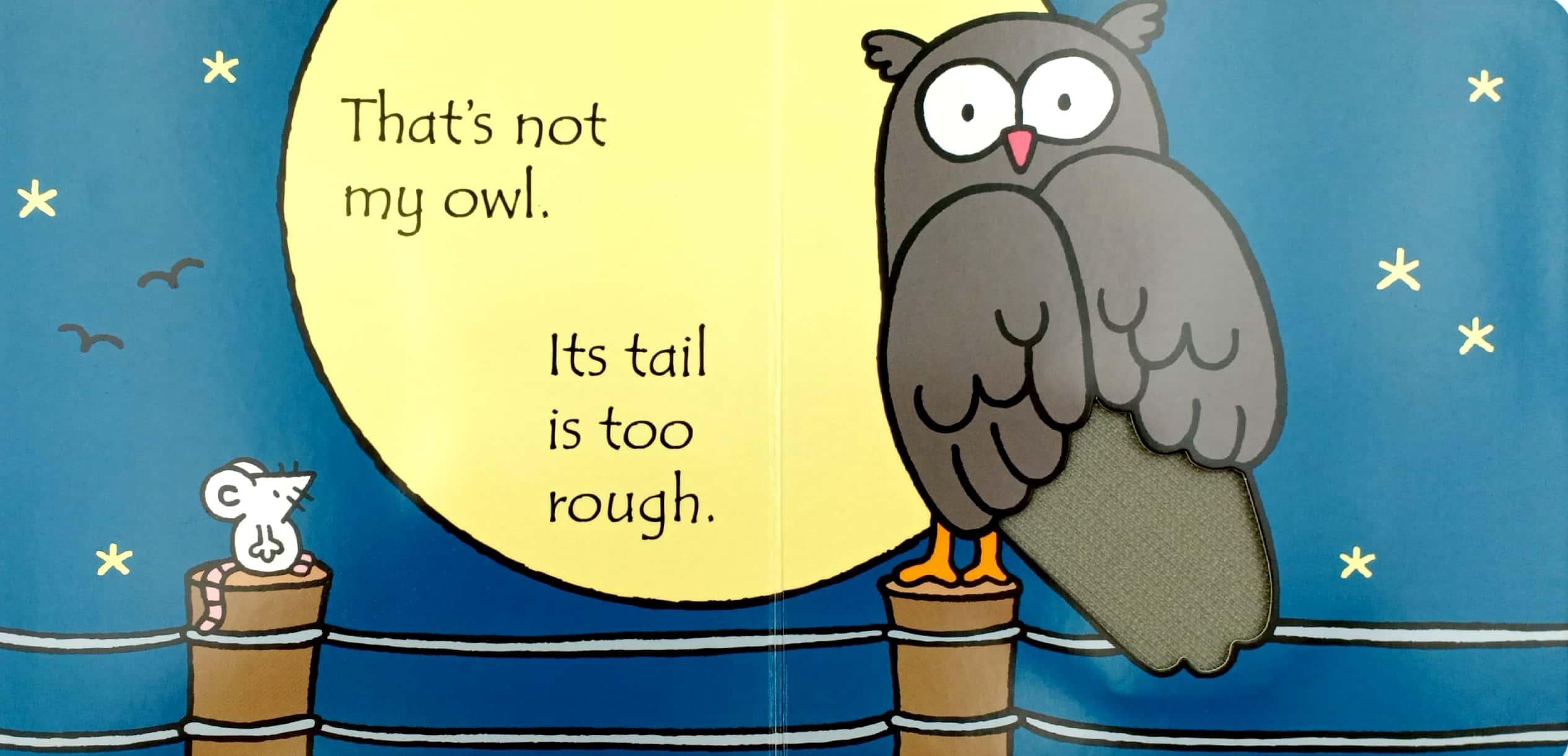 Usborne That's not my owl