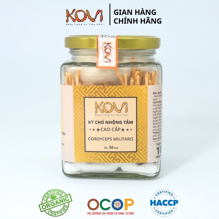 [Mua 3 tặng 1] Đông trùng hạ thảo KOVI ký chủ nhộng tằm nguyên con khô sấy thăng hoa | 50 con