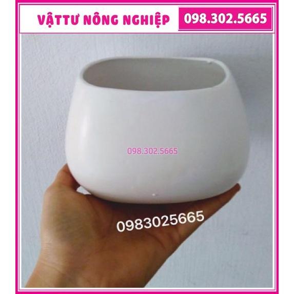 Combo 2 chậu sứ men mát cao cấp trồng cây