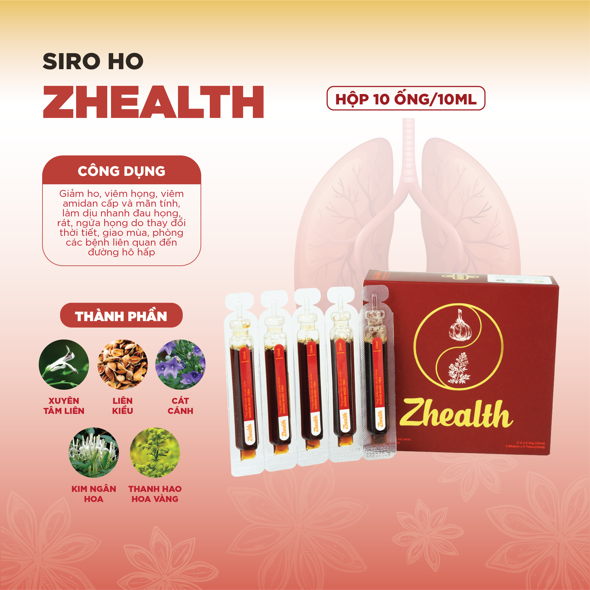 COMBO 2 HỘP Siro Ho Bổ Phế Thảo Dược ZHEALTH Giảm Ho, Viêm Họng, Tăng Cường Hệ Miễn Dịch(Hộp 2 vỉ x 5 ống)