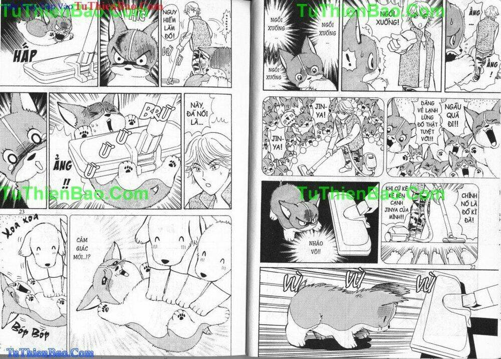 chó con mo mo chapter 3 13