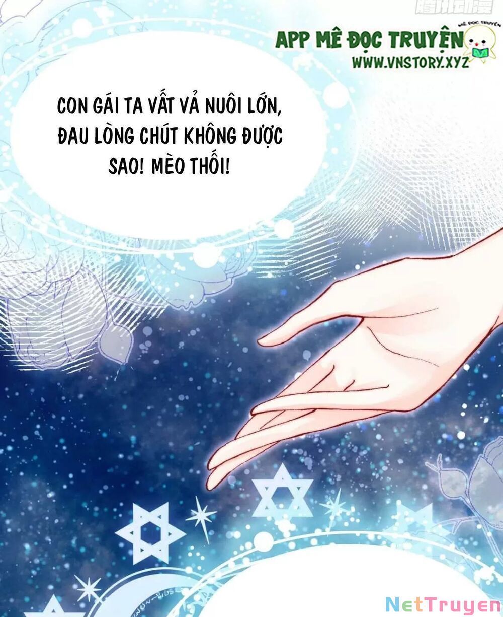 lại bị bệnh chiều chuộng quấn lấy chapter 64 74