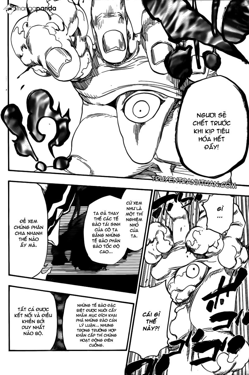 thần chết ichigo chapter 643 16