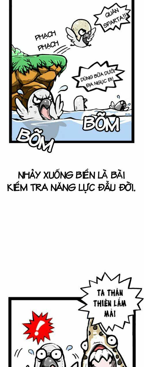 earth, human, and animal chapter 1 8