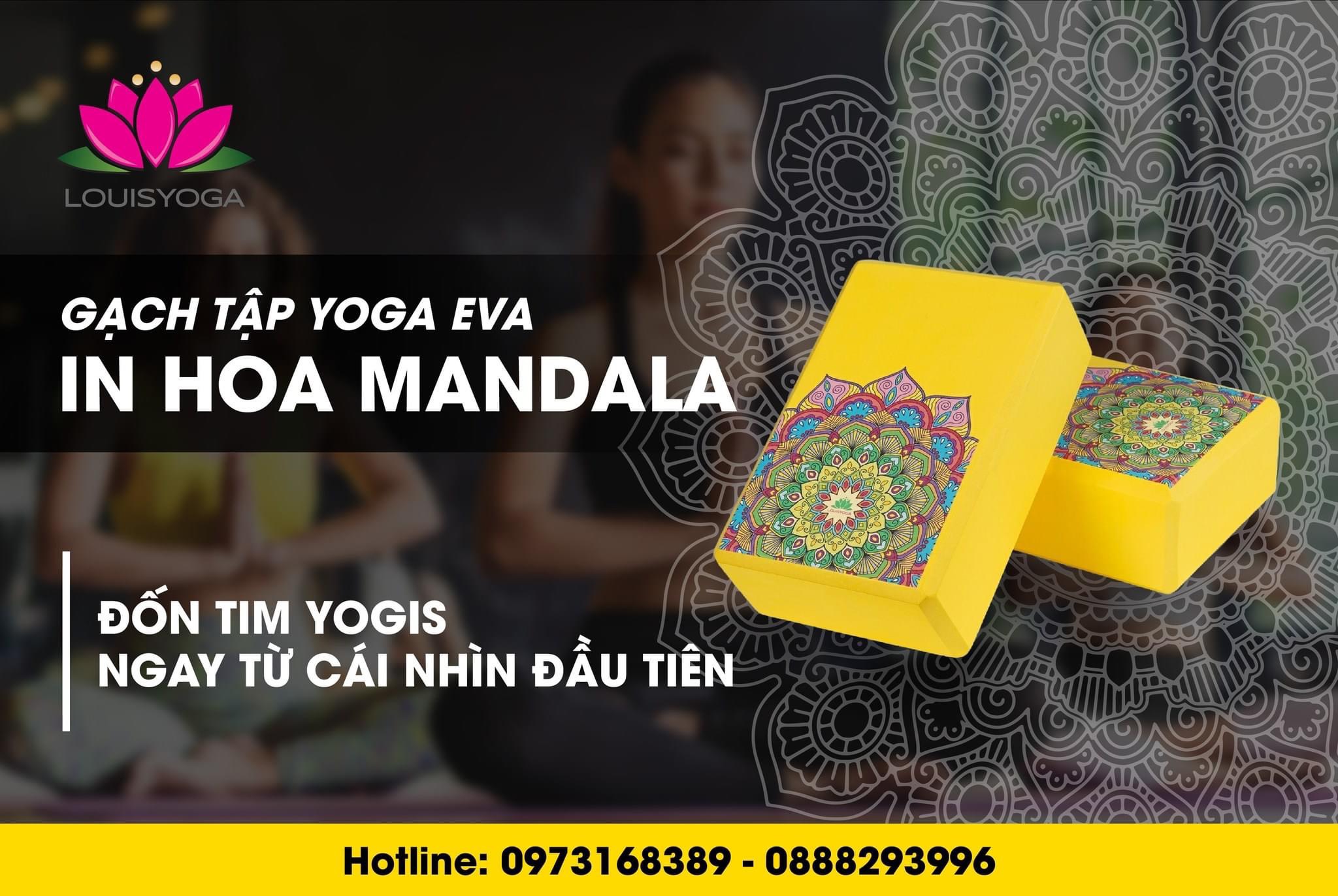 Gạch tập yoga sắc Madala Kích thước: 23x15x7.6cm. Trọng lượng 200g