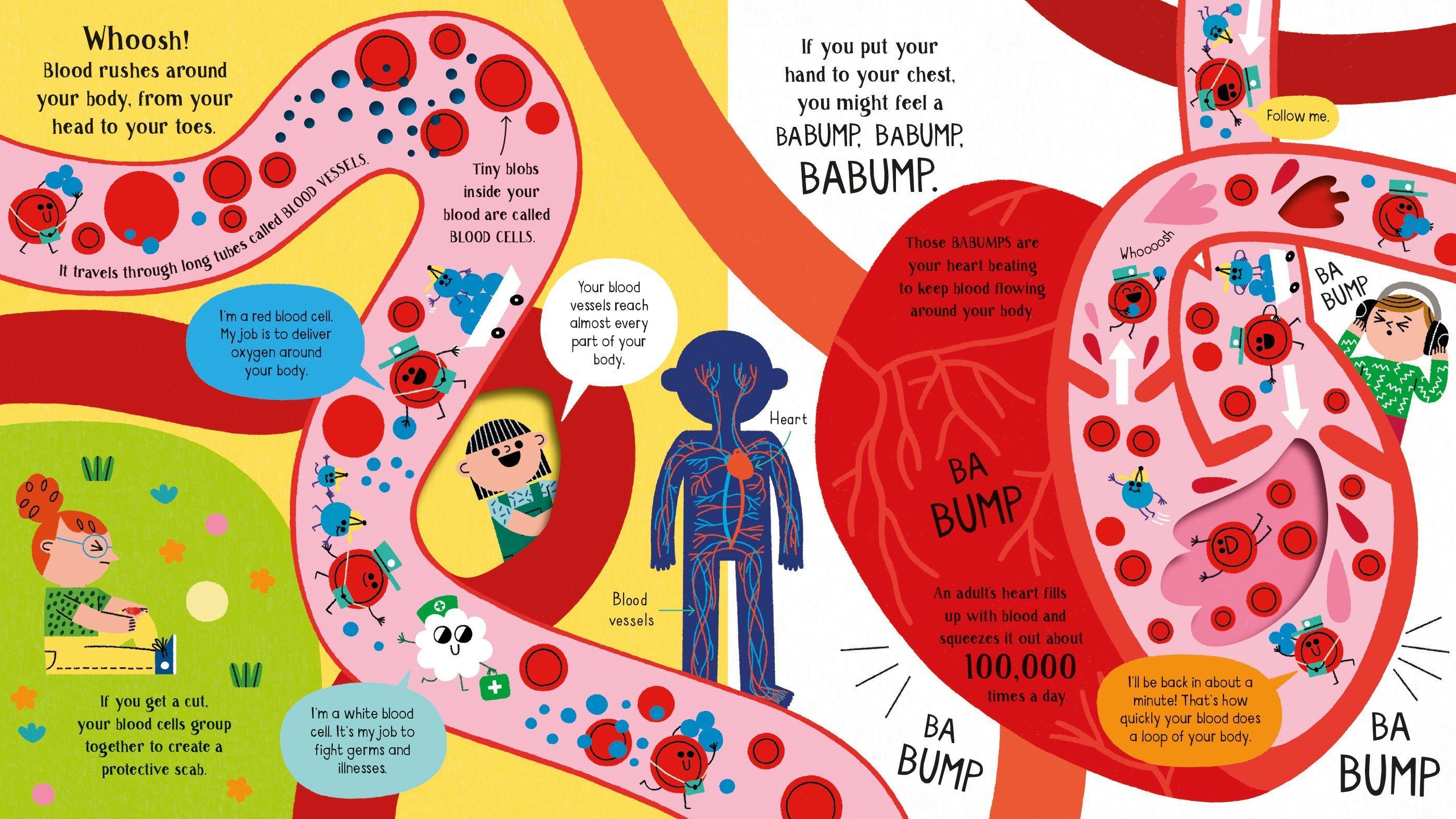 Sách ngoại văn: Step Inside Science - Your Body