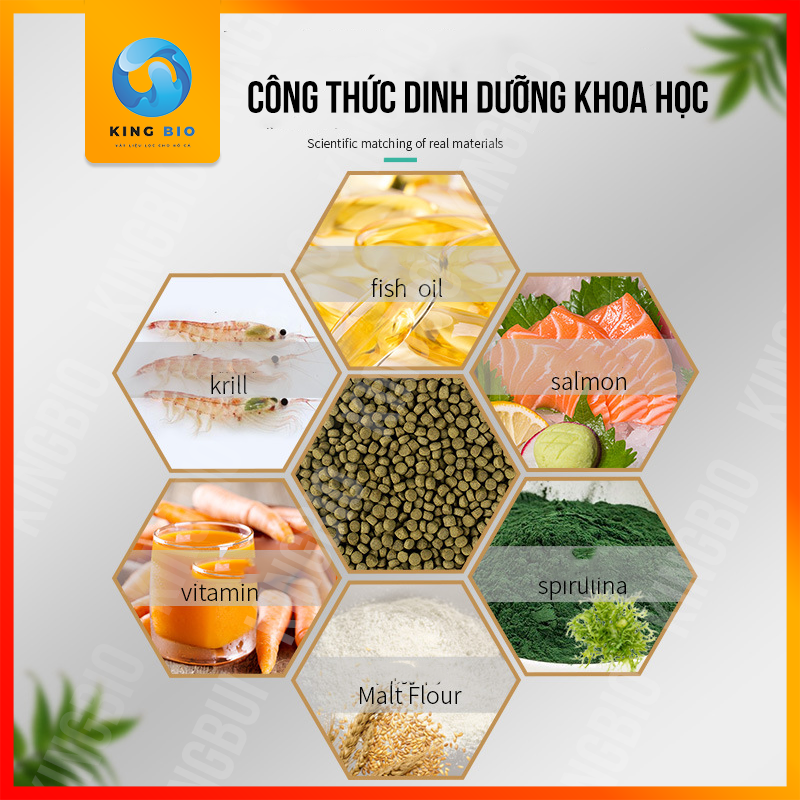 Cám cho cá phát tài - Thức ăn giàu đạm và tảo xoắn cho cá phát tài