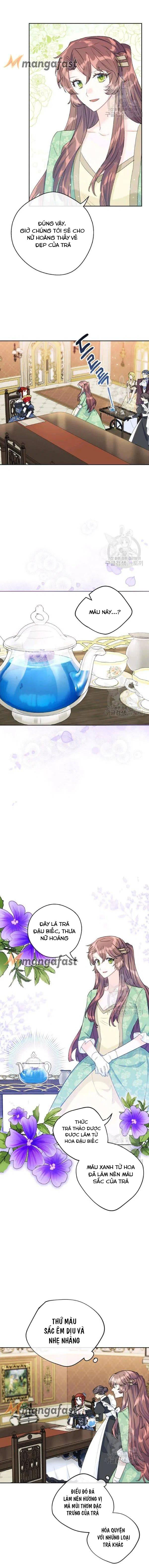 50 công thức pha trà của nữ công tước chapter 108 2