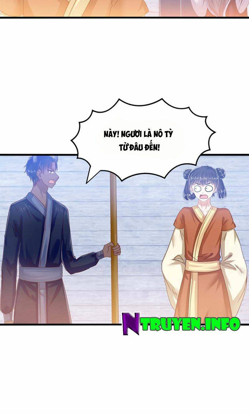 tôi bị gấu trúc nhìn trúng rồi chapter 26 18