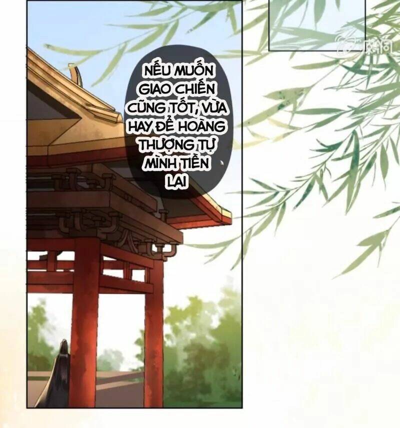 sủng phi của vương chapter 157 19