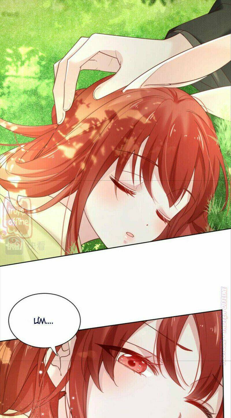 hắc hóa nam chính trực tuyến nuôi thỏ chapter 50 27