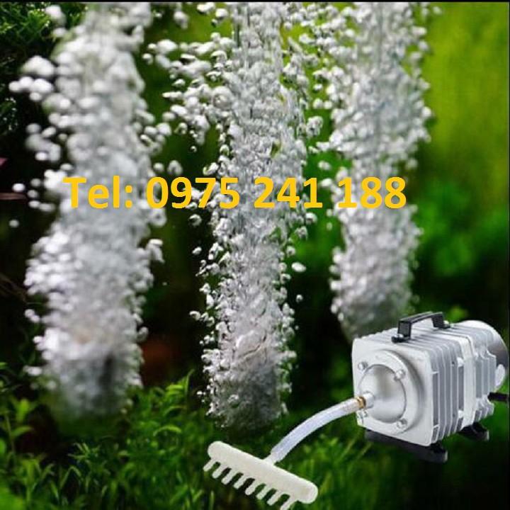 Máy sủi khí công nghiệp Hailea ACO-318, 45W , tặng 6 vòi sủi + 6 quả sủi về dùng luôn