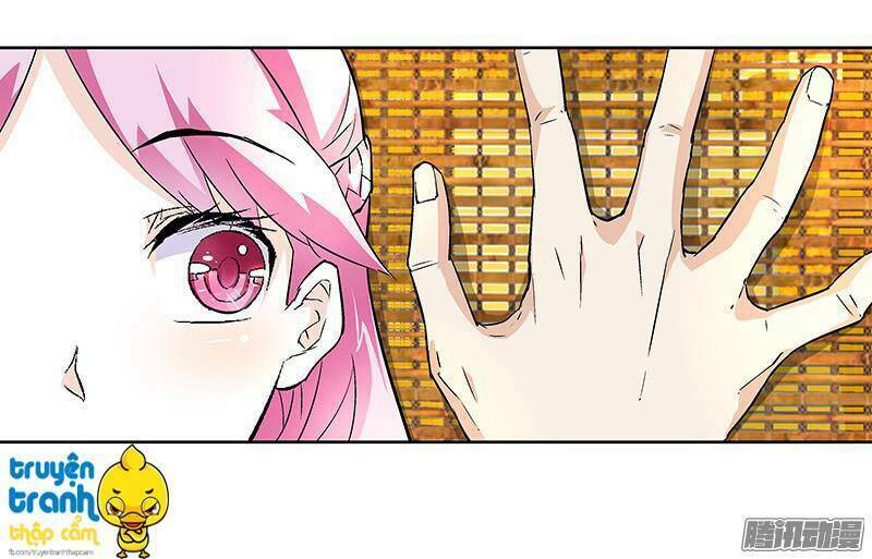 cường sủng hào môn tiểu manh thê chapter 14 40