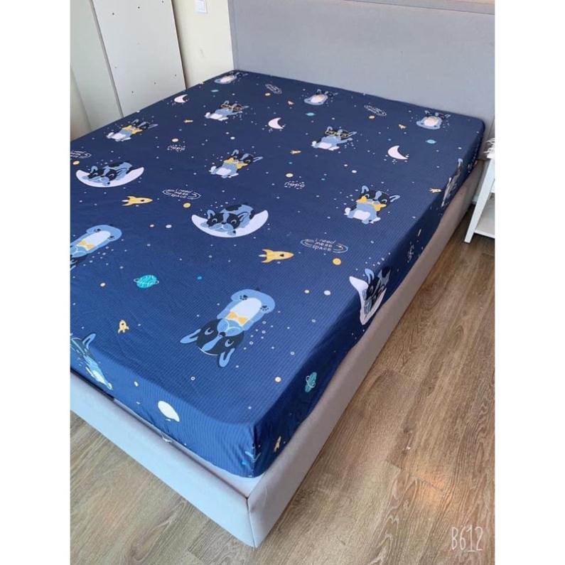 Ga chống thấm siêu rẻ cottton giao màu ngẫu nhiên m6x2m/m8x2m/2m2x2m