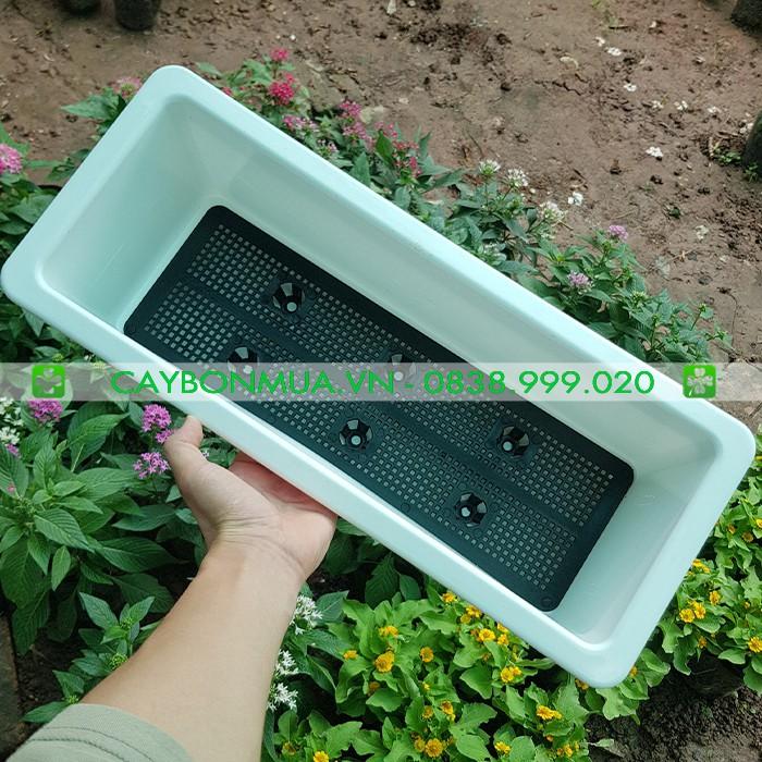 Chậu hình máng - Chậu máng nhựa treo ban công - Chậu mang nhựa trắng cao cấp có khung sắt siêu rẻ khi mua kèm