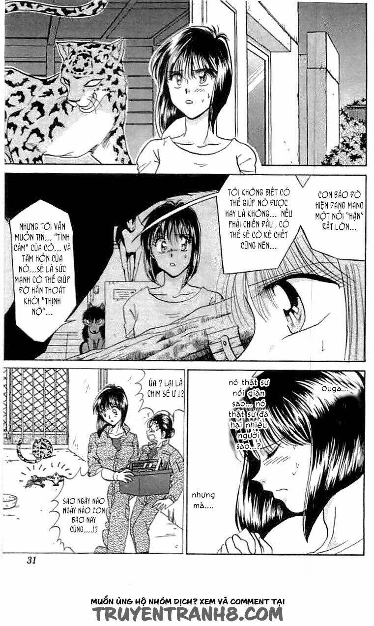 wild half chapter 18 5