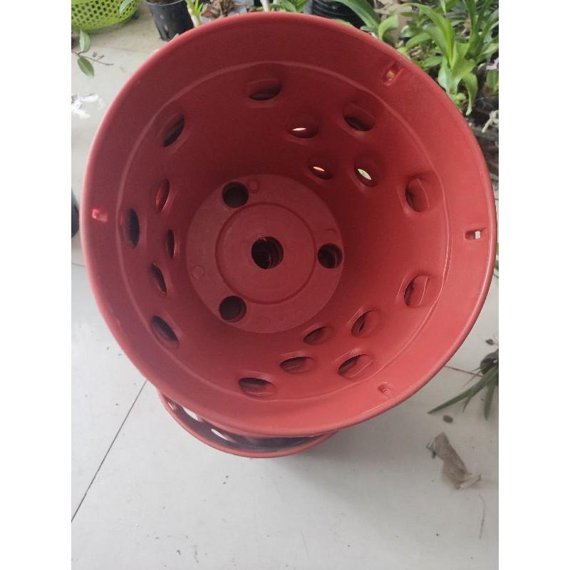 Chậu nhựa giả đất nung trồng lan đủ size
