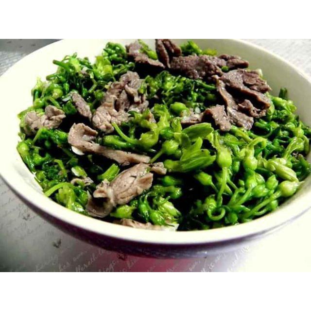 Sản phẩm CÂY GIỐNG HOA THIÊN LÝ