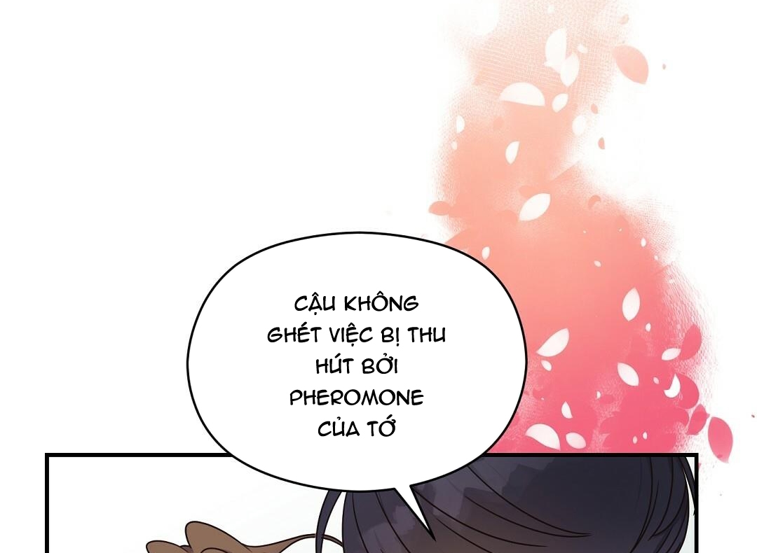 phức cảm tự ti của omega chapter 26 124