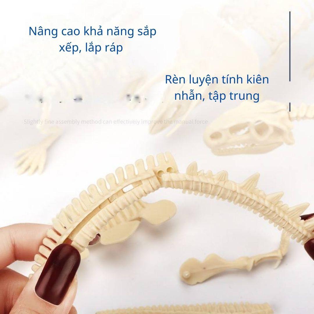 Mô hình Khủng Long hóa thạch - truy tìm dấu vết hóa thạch