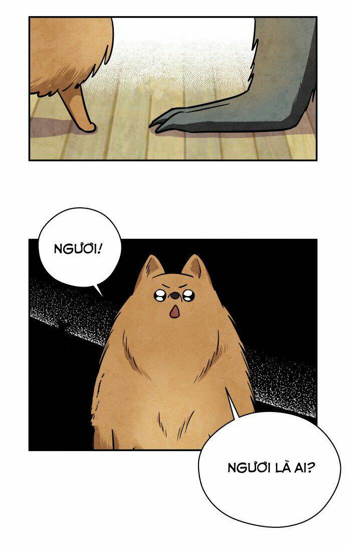 tai sói và mũ đỏ chapter 31 18
