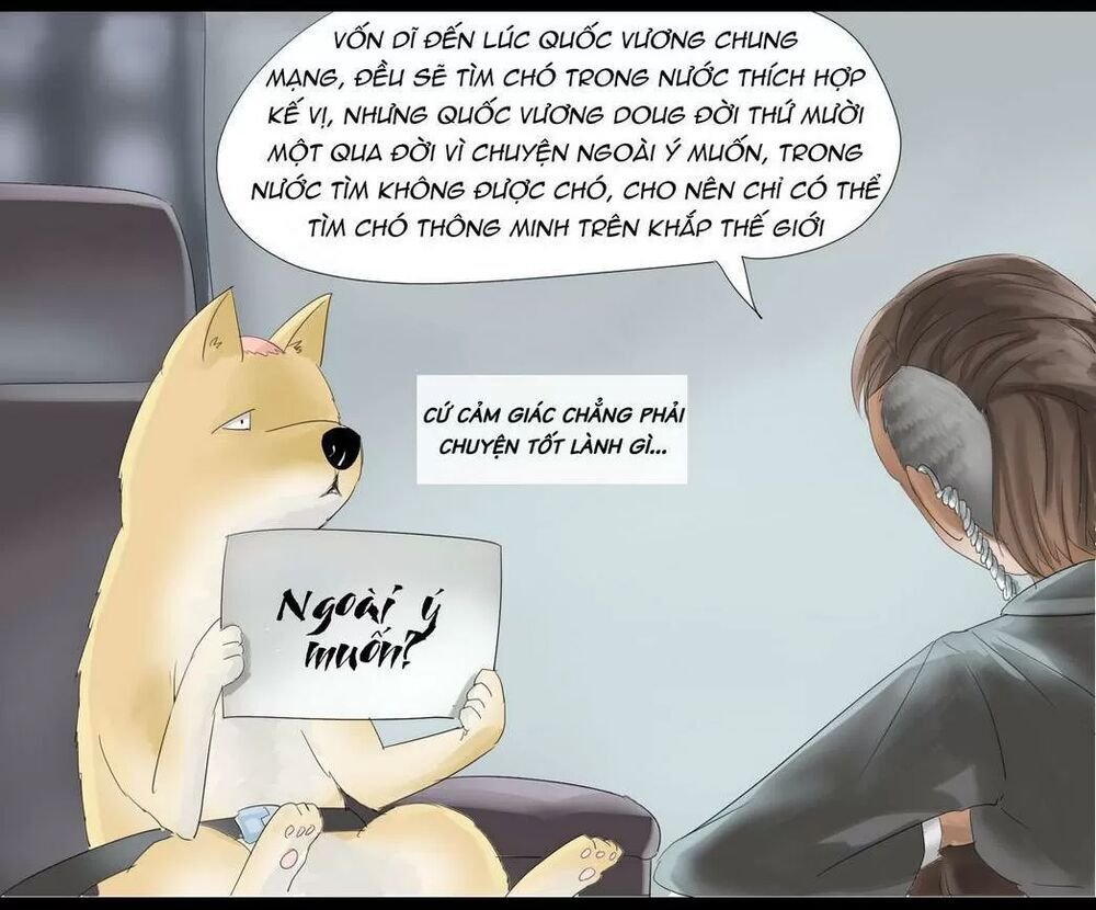 một con chó chapter 31 4