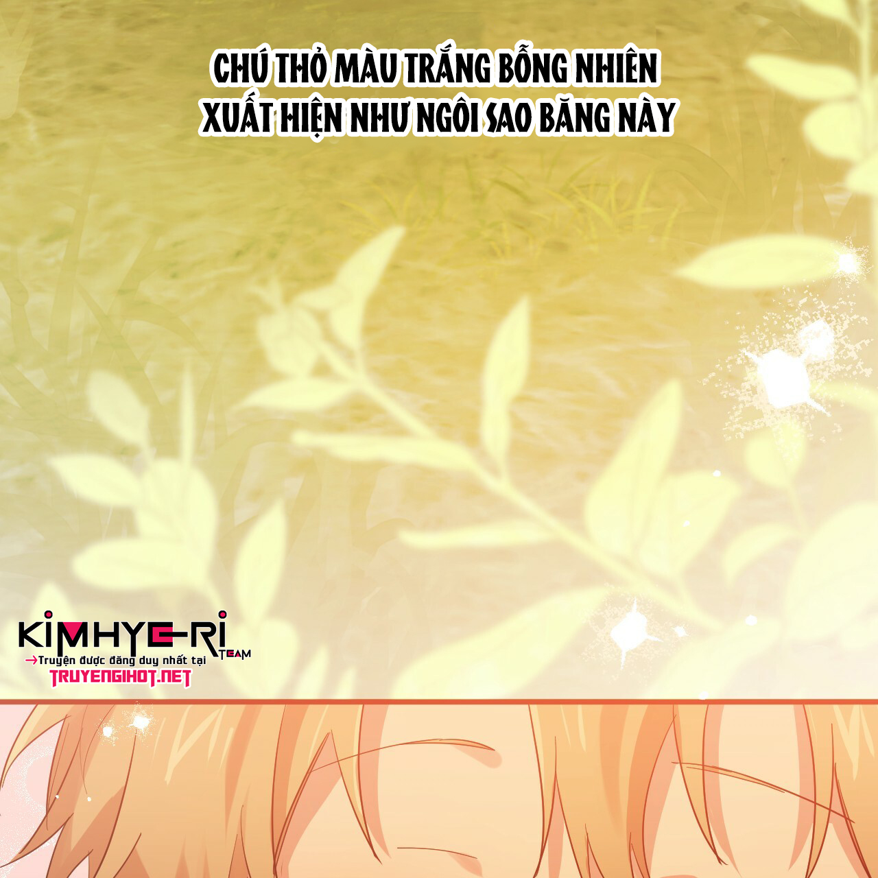 những chú thỏ của hapypy chapter 11 30