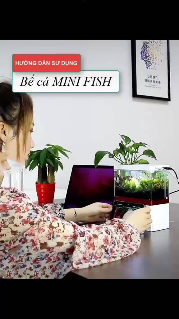 Bể Cá Mini FISH TANK Để Bàn Làm Việc Đa Chức Năng Hồ Thủy Sinh