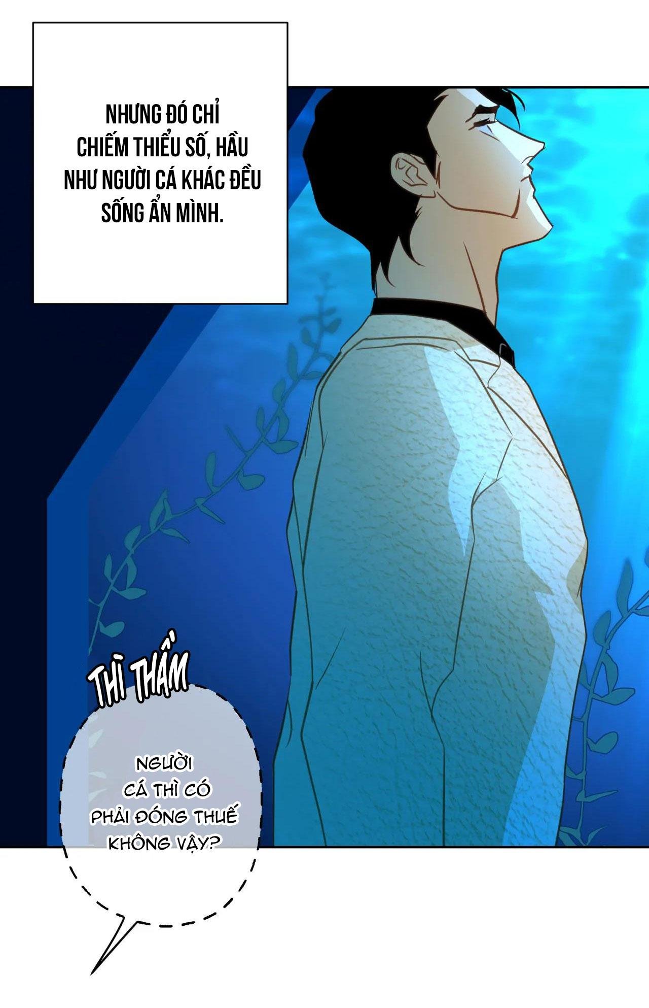 mỹ nhân ngư chapter 2 7