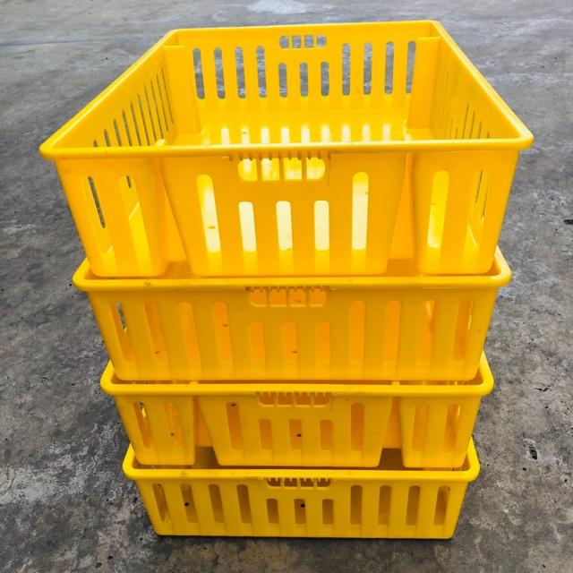 Rổ vận chuyển gà + vịt con