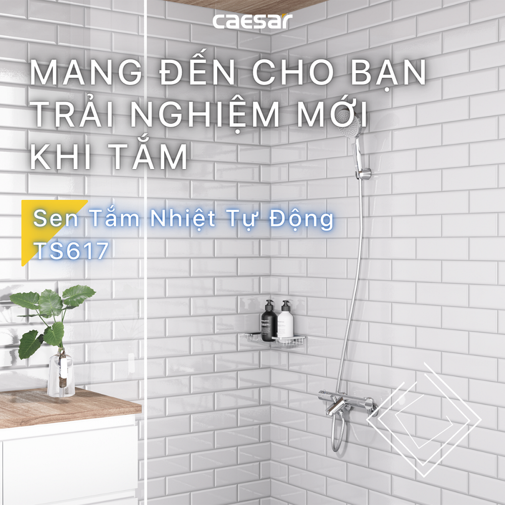 Sen tắm đứng nhiệt tự động TS617