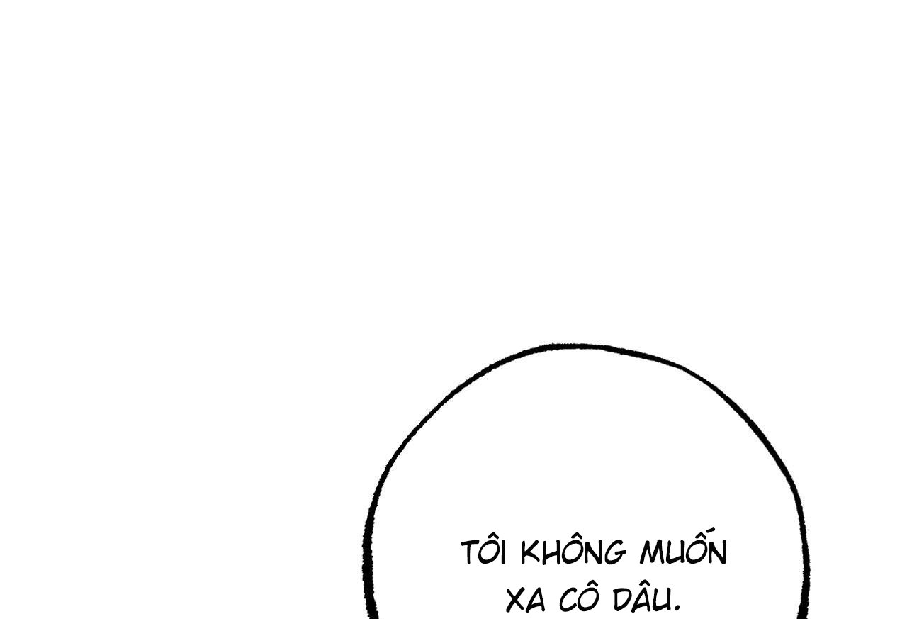 những chú thỏ của hapypy chapter 61 70