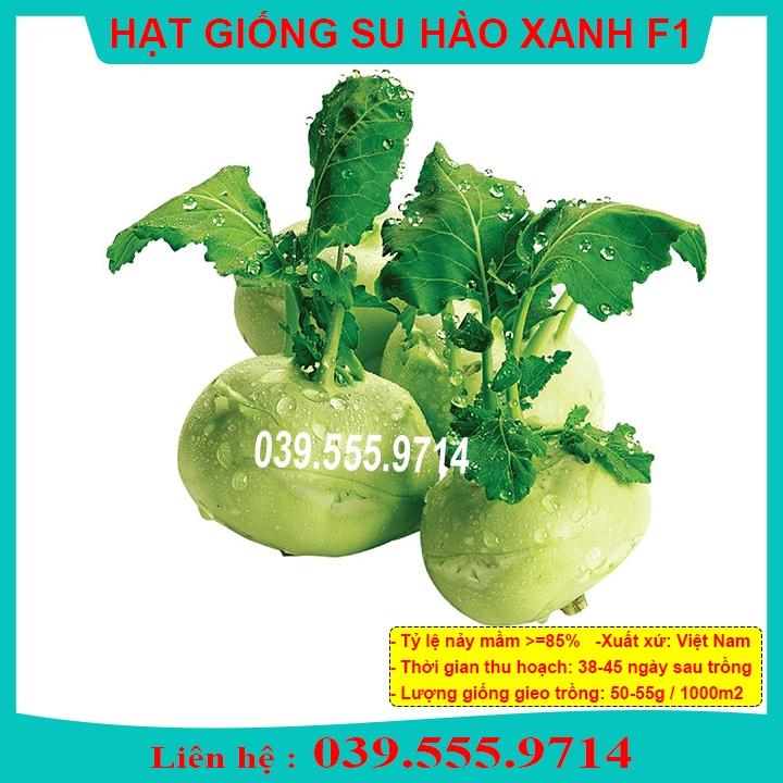 HẠT GIỐNG SU HÀO XANH - GIỐNG TỐT