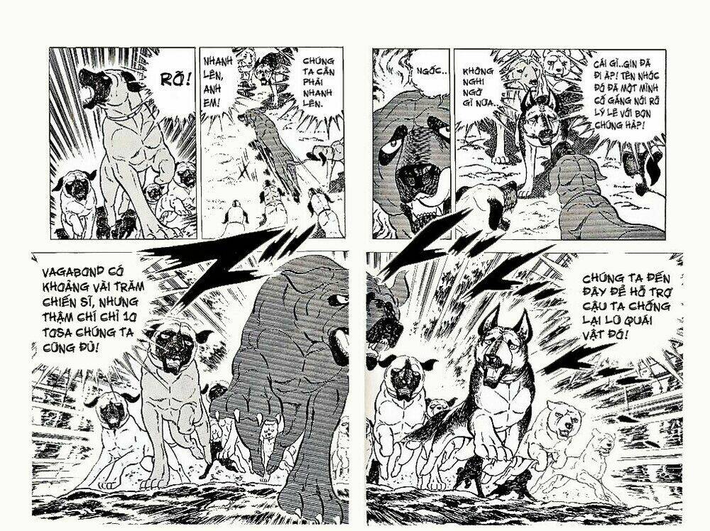 chú chó có nghĩa - ginga nagareboshi gin chapter 23 19