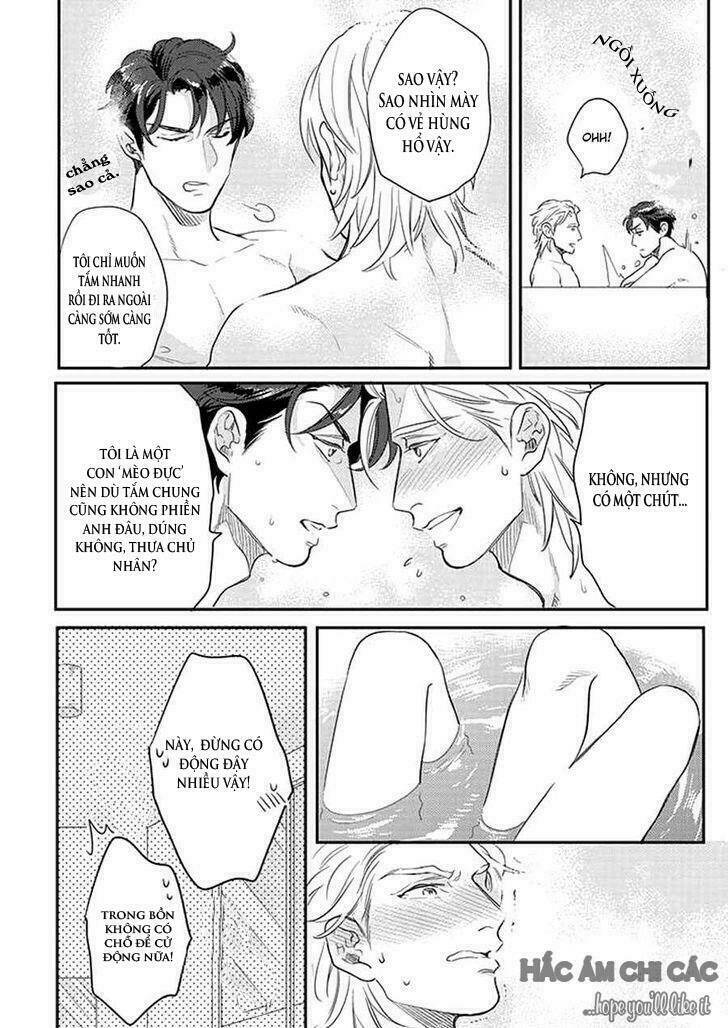 dorobou neko ni wa nusumena chapter 2 7