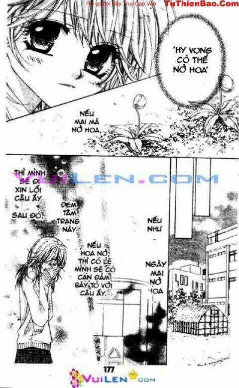 thiên thần giả tạo chapter 4 177