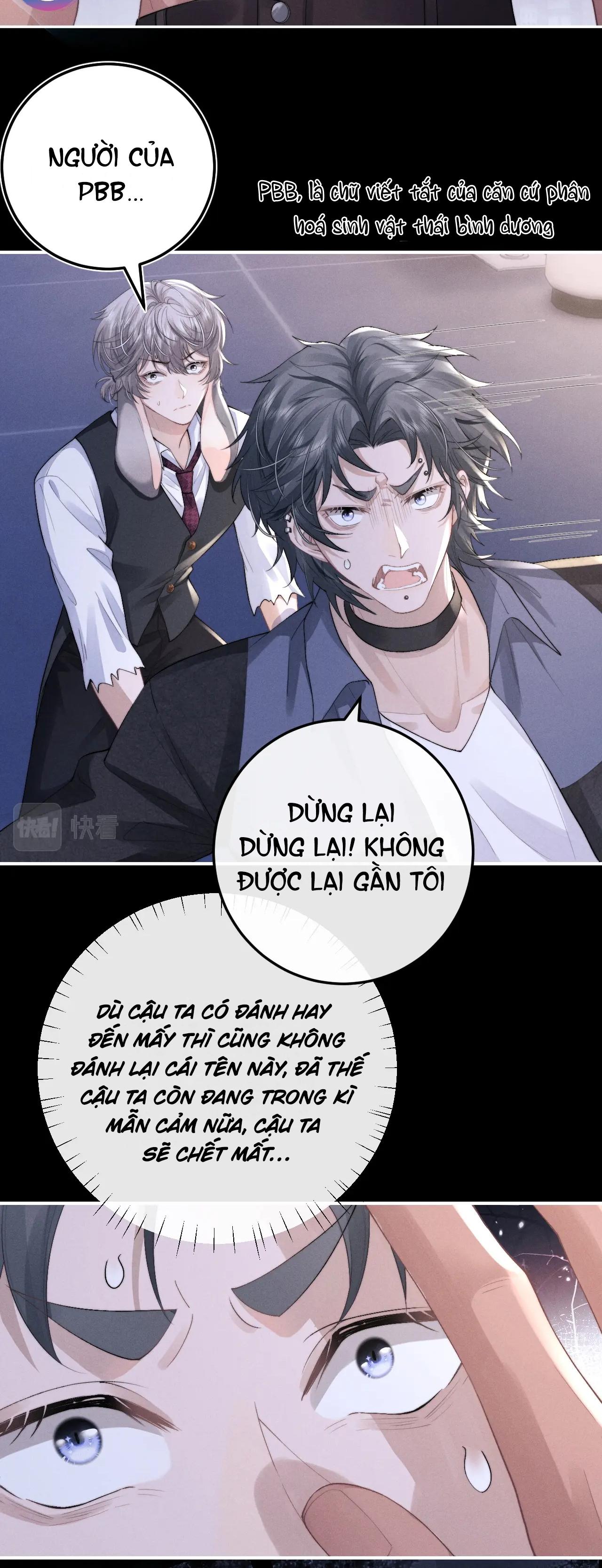 chấp sự thỏ tai cụp chapter 37 28