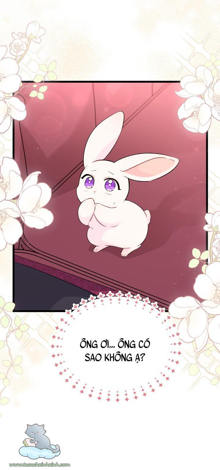 quan hệ cộng sinh giữa báo đen và thỏ trắng chapter 48 41