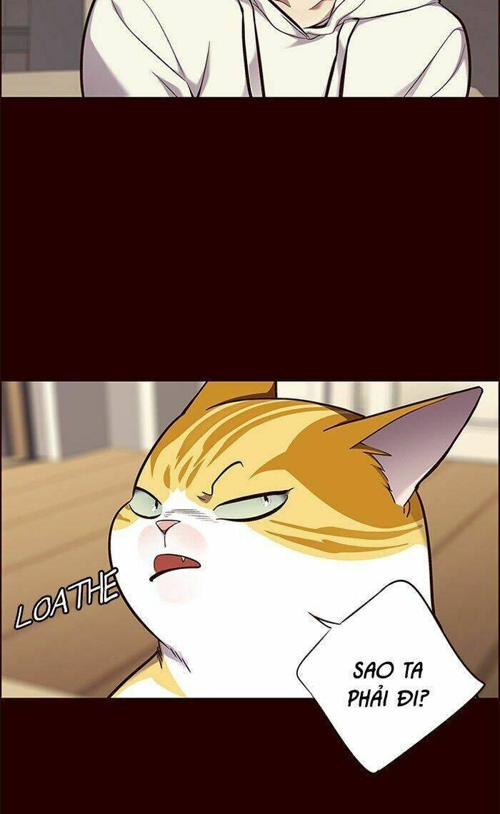 biến thân thành mèo chapter 67 61