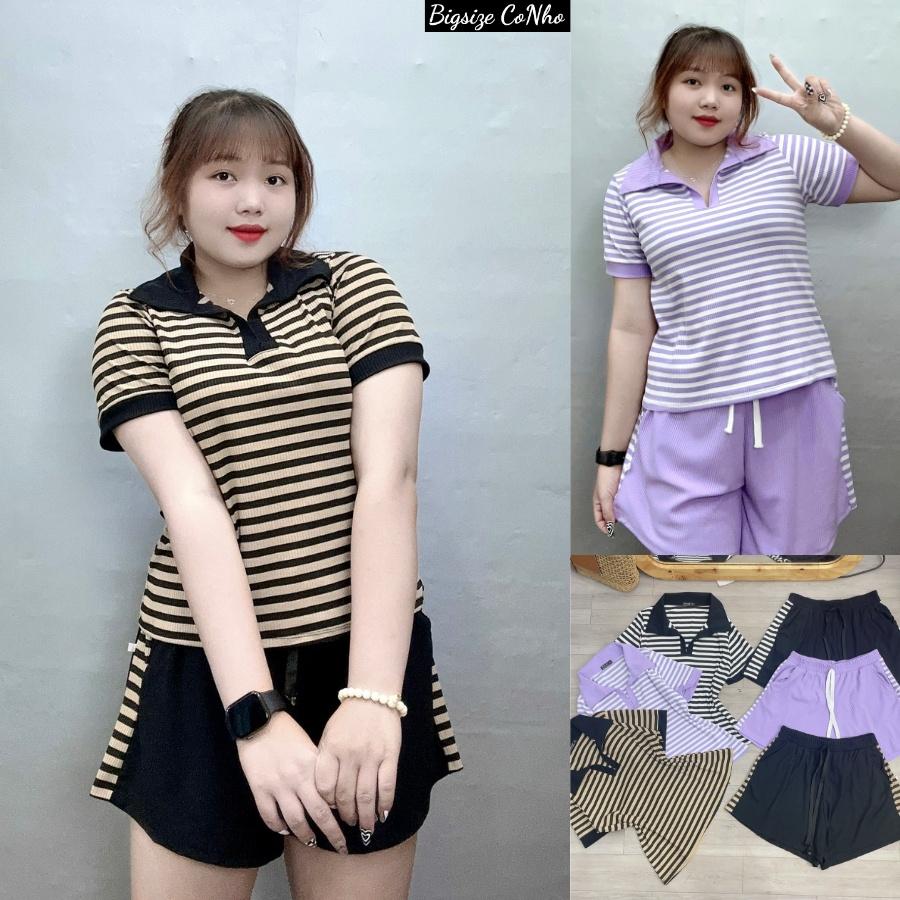 Áo thun polo cổ trụ bigsize nữ kèm quần đùi thun phối sọc co giãn chất gân tăm, Set bộ bigsize Cô Nhỏ - STRU22 - Màu Tím