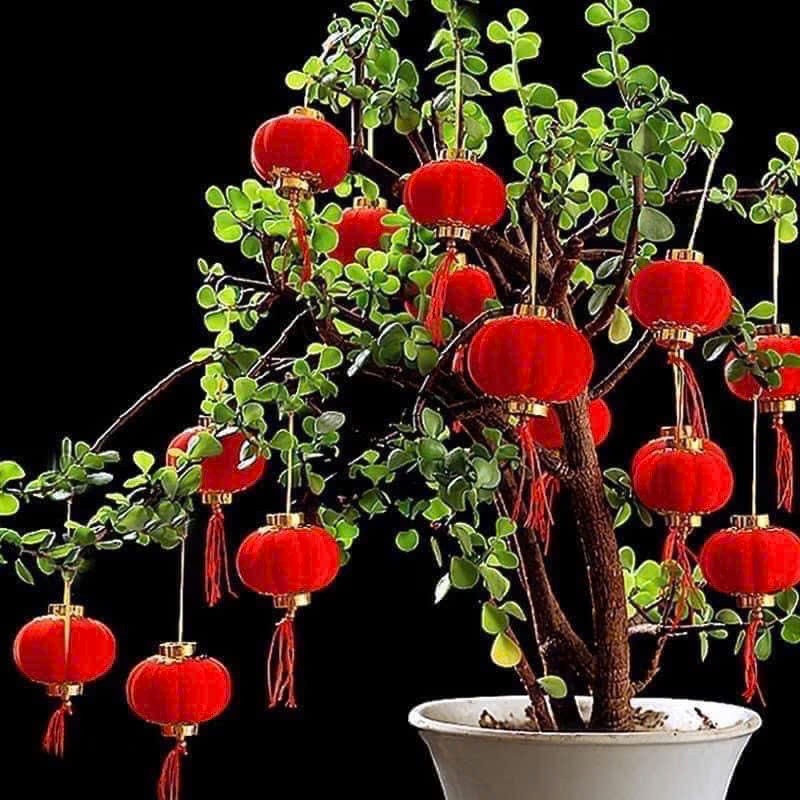 Combo 30 Đèn Lồng Size 3.5Cm Nhung Đỏ Trang Trí Tết Sum Vầy