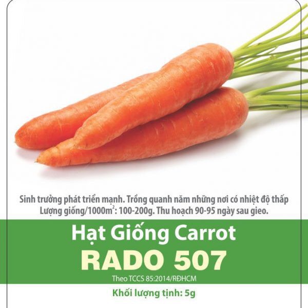 Cà rốt 507