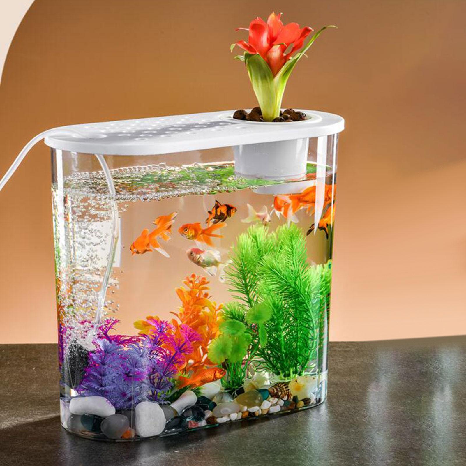 Mini Fish Tank Clear Tank Portable Tabletop Fish Bowl Small Desktop Aquarium