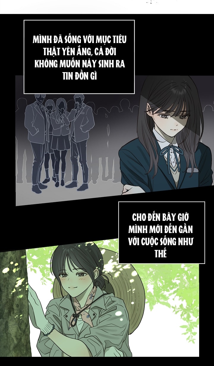 [18+] hoa là mồi nhử chapter 1 67