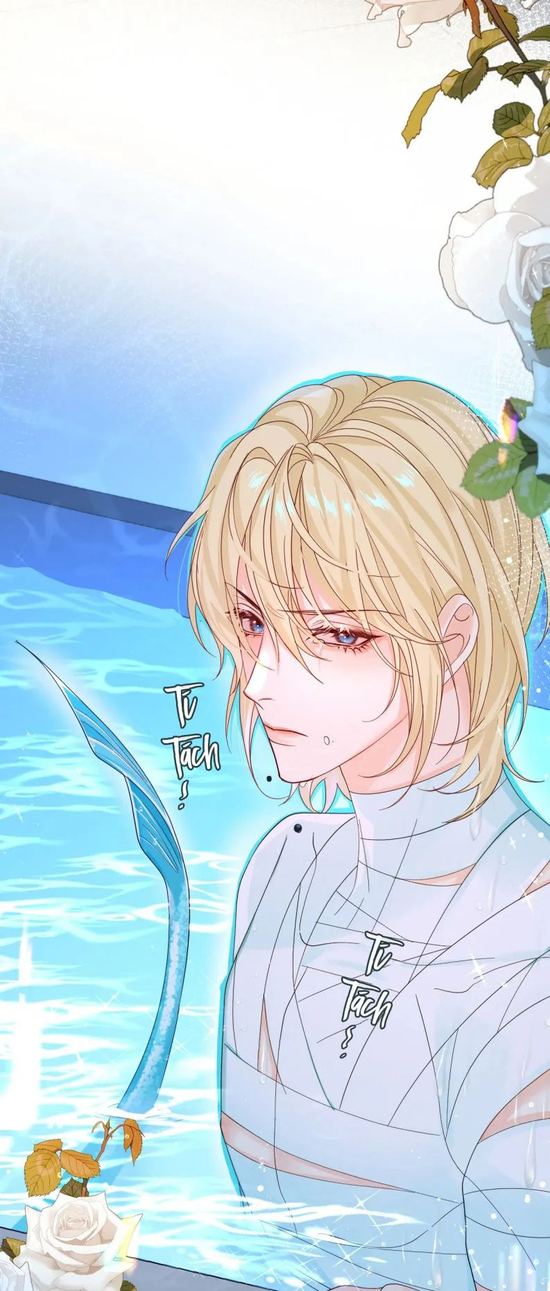 nhân ngư rơi xuống chapter 39 8