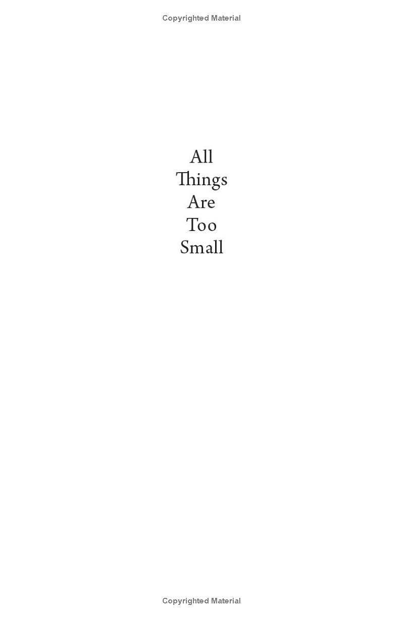 Sách ngoại văn: All Things Are Too Small - Essays In Praise Of Excess